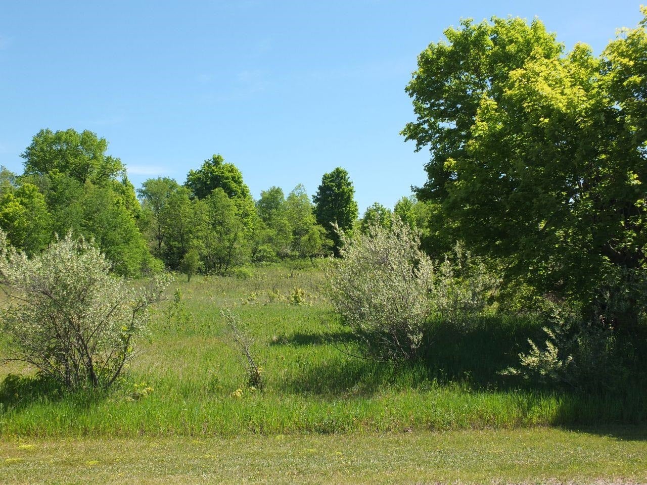 Lot 11 Kingsfield Drive