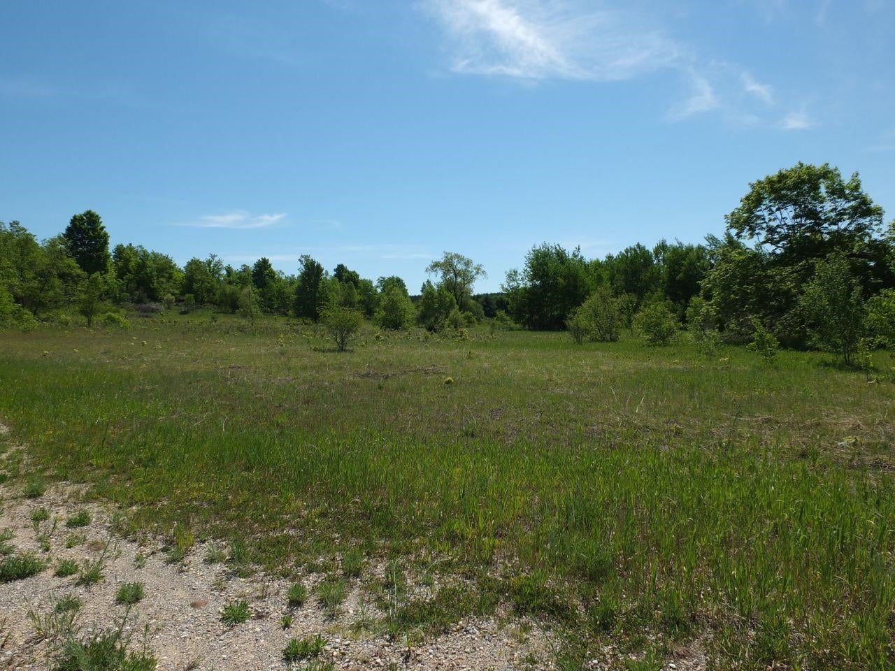 Lot 11 Kingsfield Drive