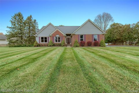 13461 Daleview Court Green Oak Township MI 48178
