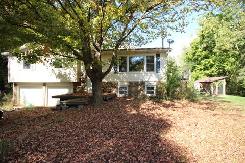 10775 E V Avenue Brady Township MI 49097