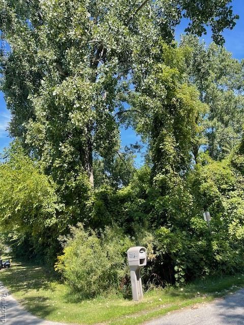 00 Campau Avenue Port Huron Charter Township MI 48060