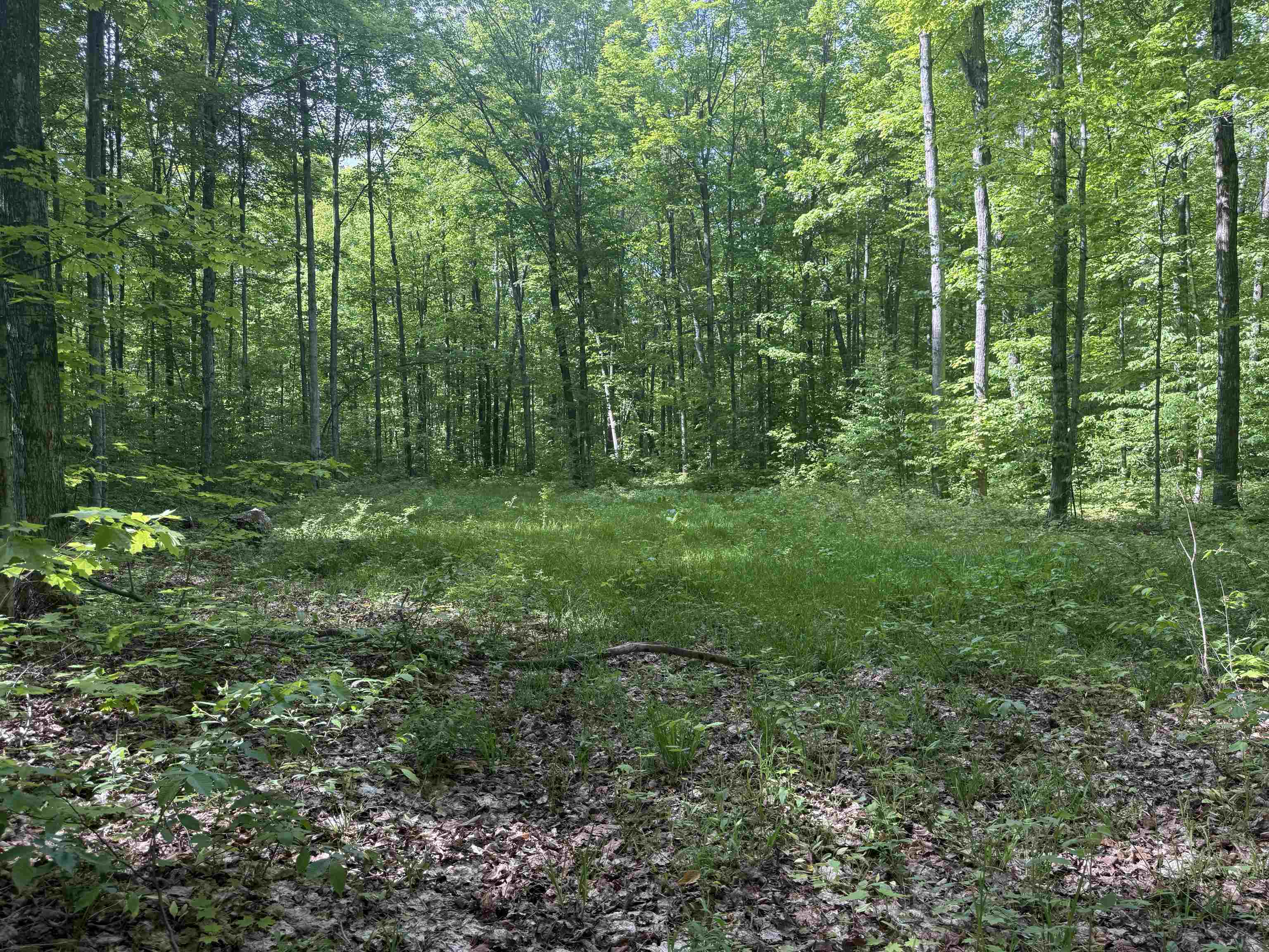 0000 Starvation Lake Road