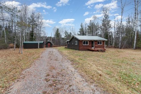 2340 W Ryno Road Big Creek Township MI 48636