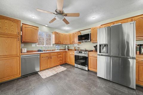 Tiny photo for 14534 Main Street, Buchanan Township, MI 49107 (MLS # 69026009588)