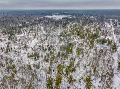 0 E Greenwood Road Mills Township MI 48756