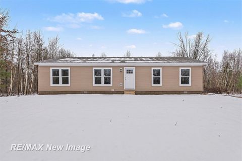 18925 W Townline Road Brant Township MI 48655