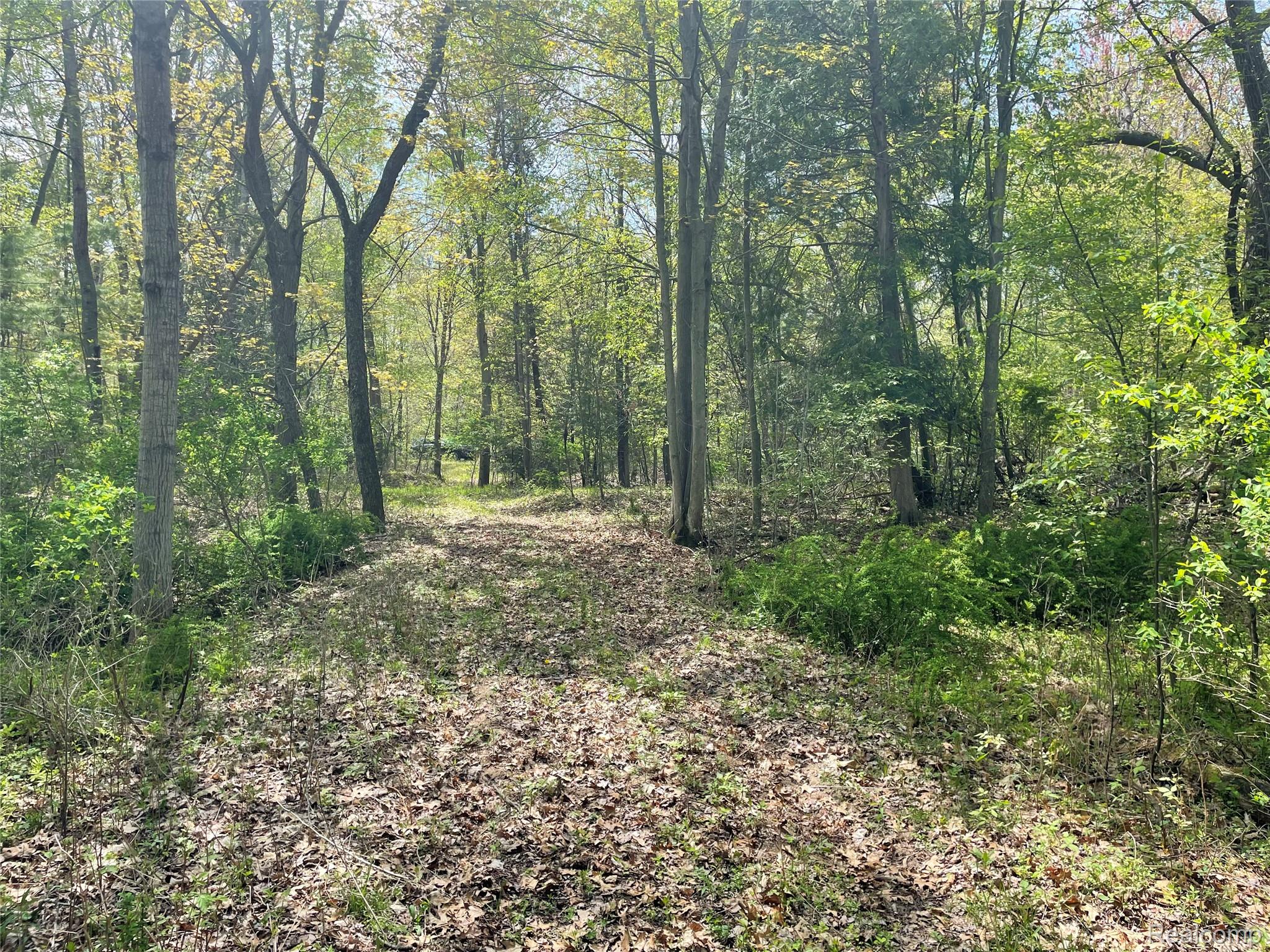 NA Oakridge Drive