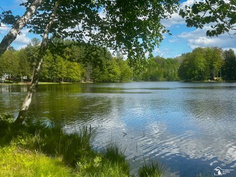 9835 Miramichi Drive Evart Township MI 49631