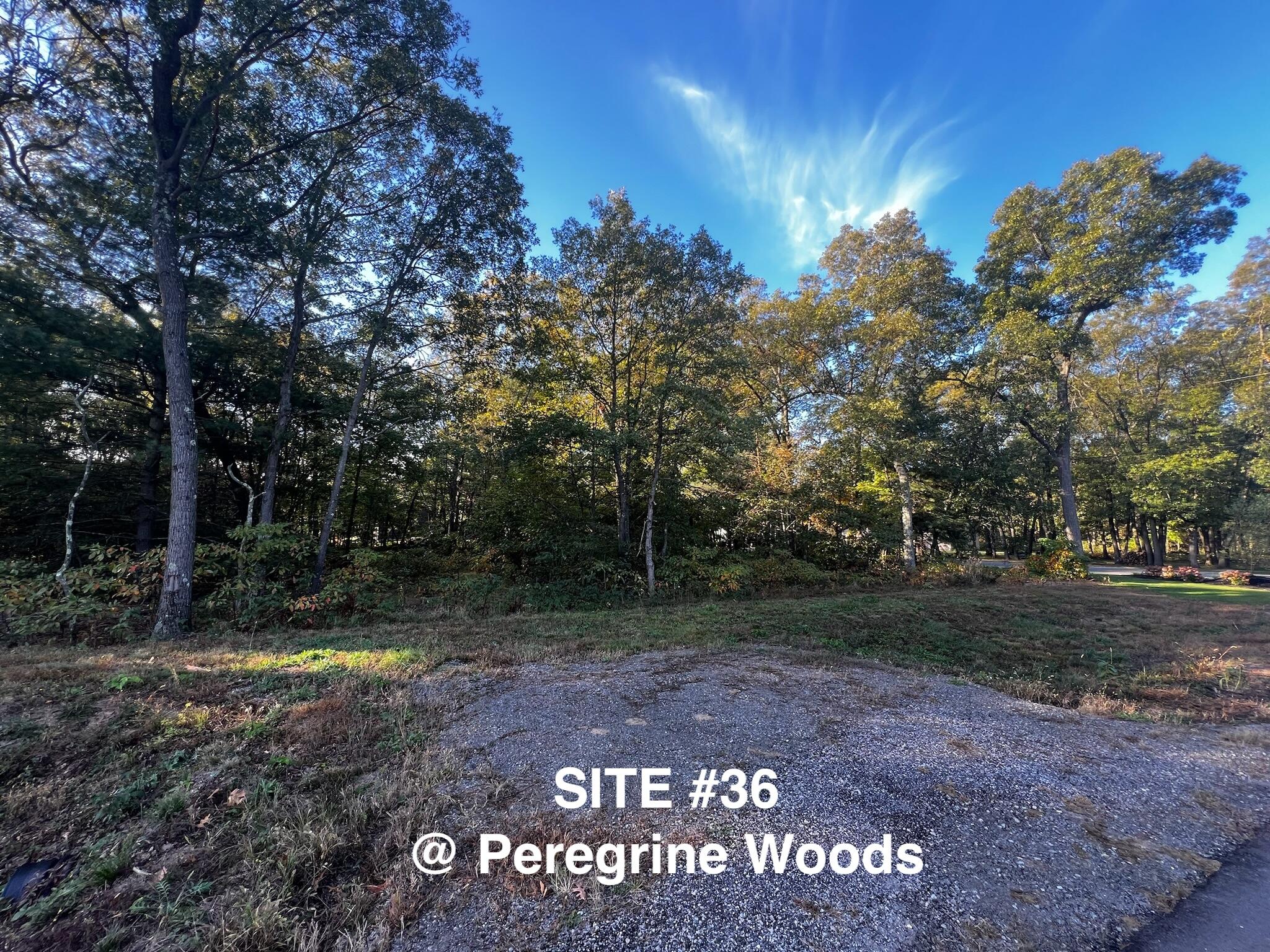 6001 Savannah Way #36