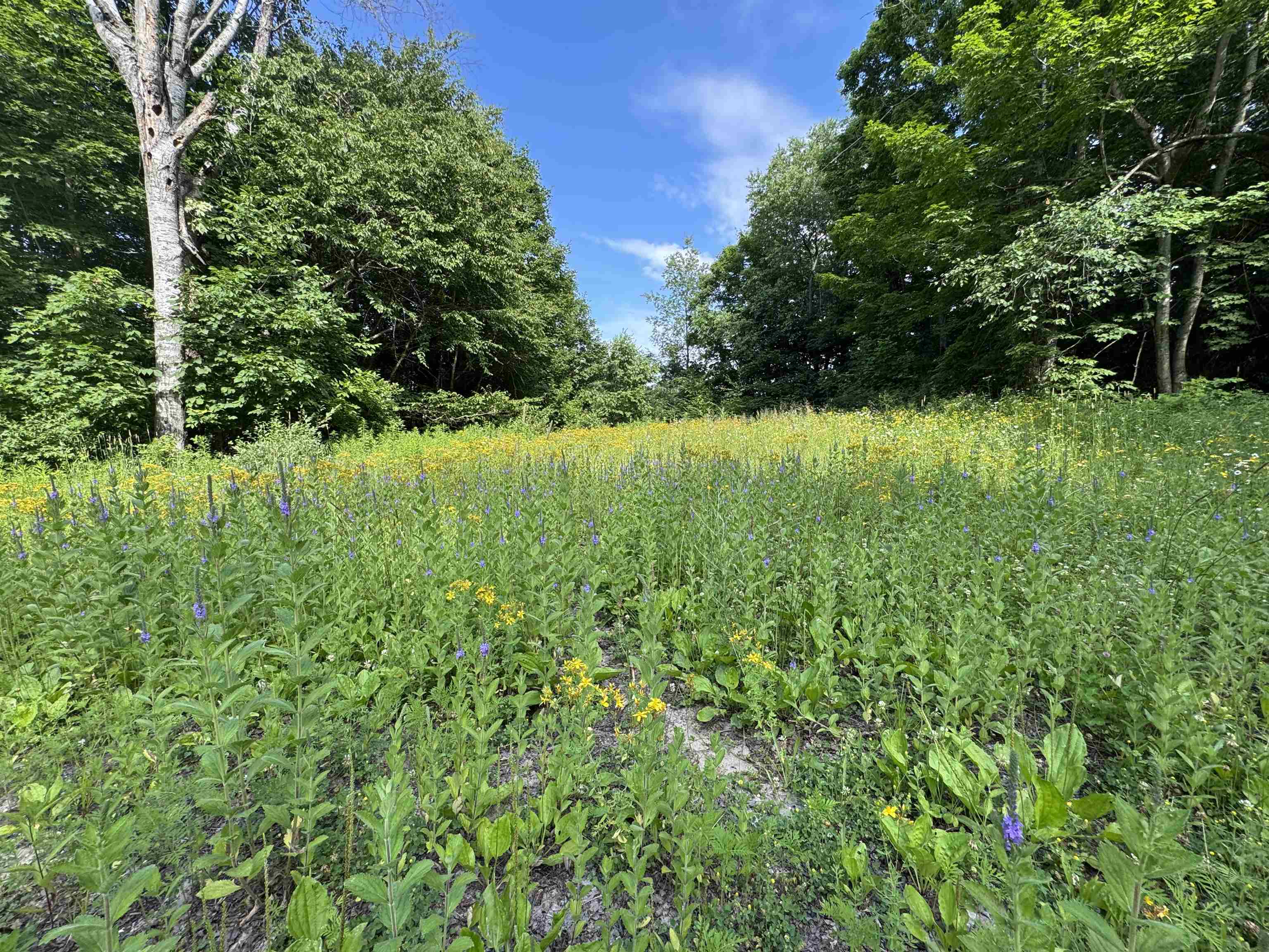 00 W Beeman Road
