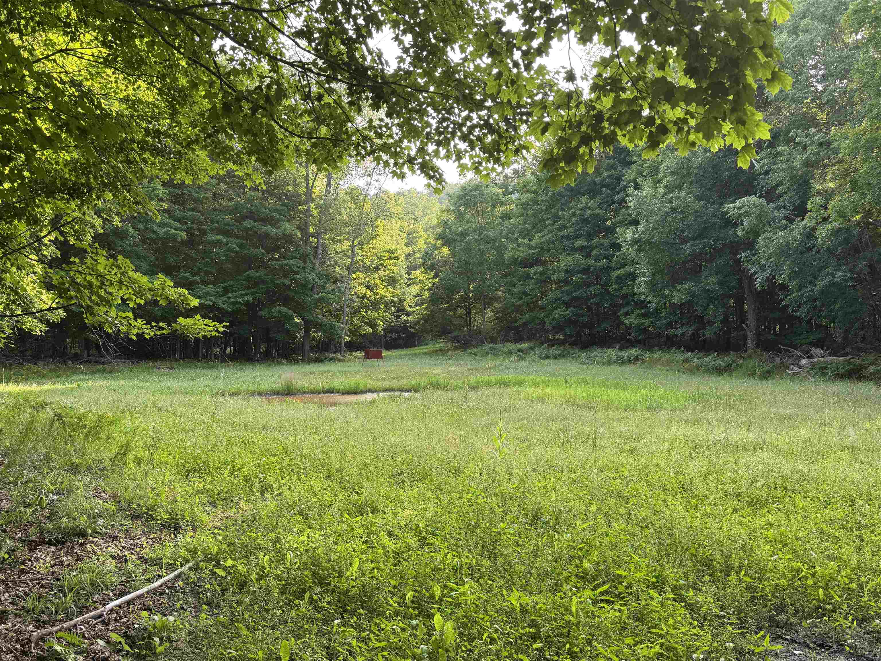 00 W Beeman Road