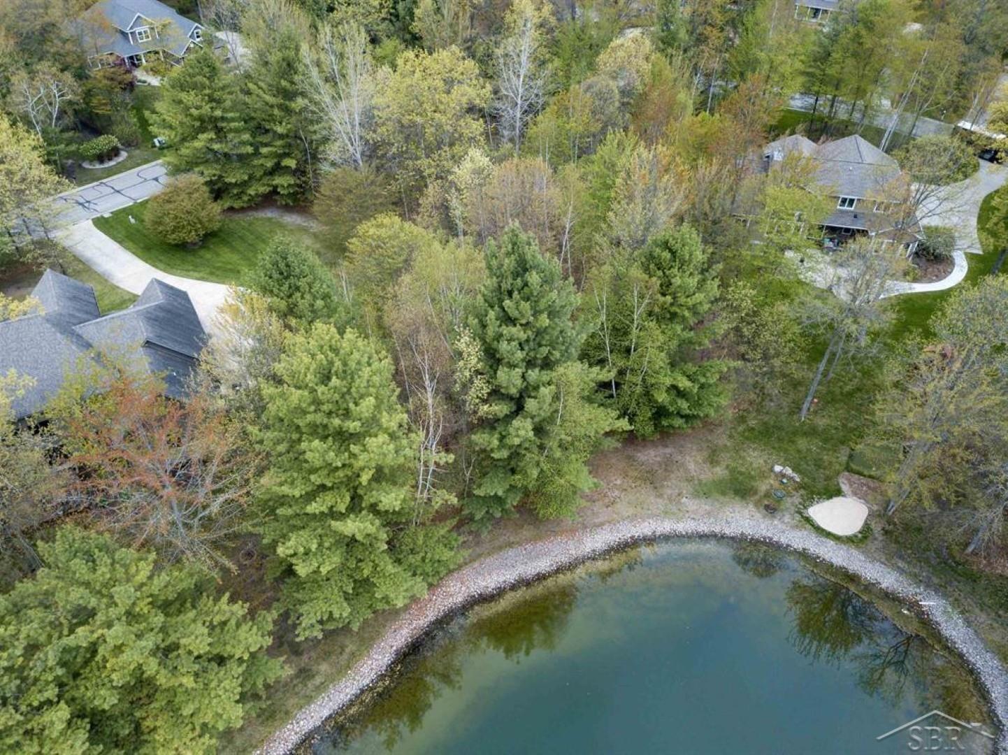 5007 Bristlecone Drive