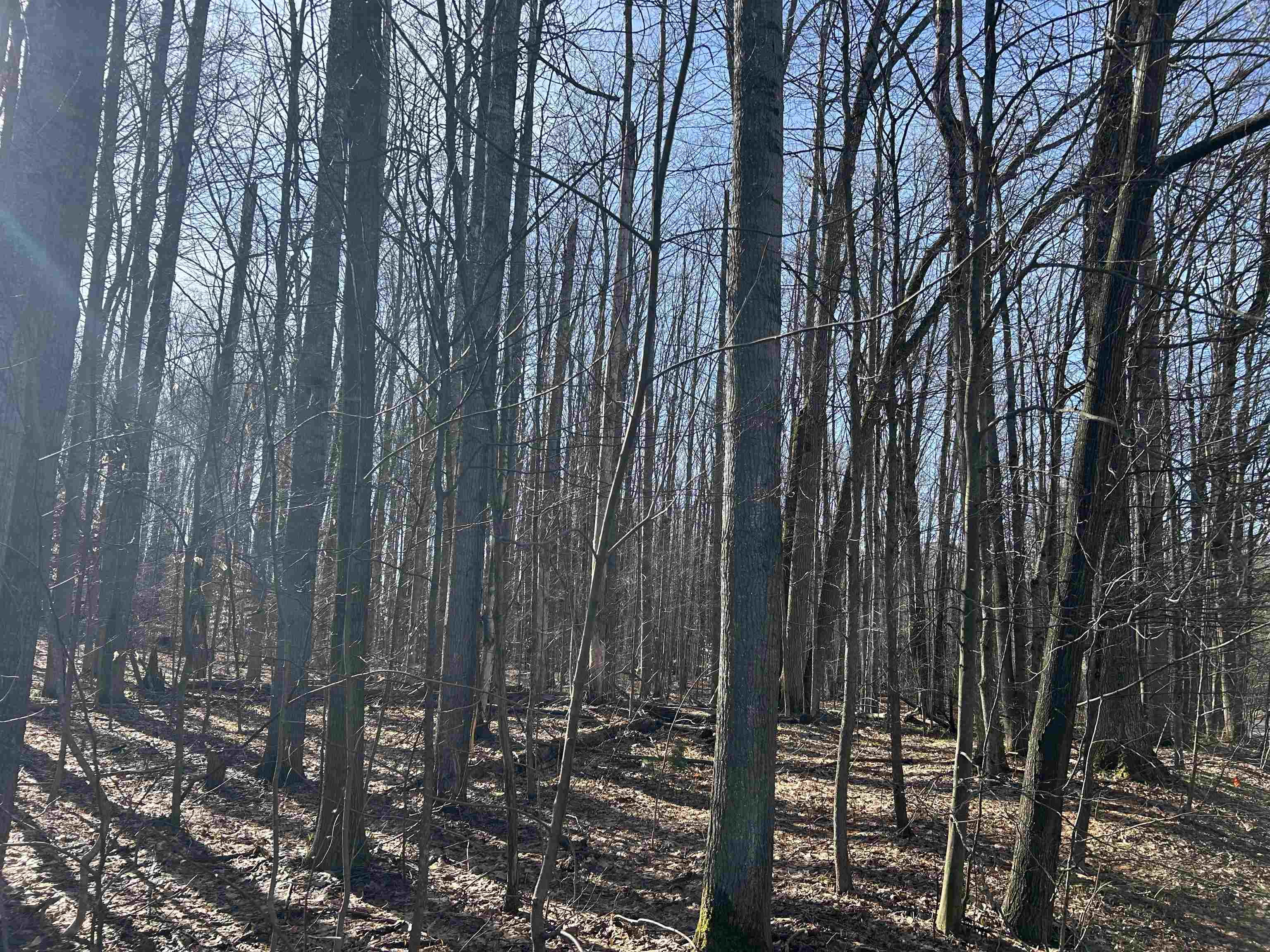 Lot 39 Schutzen Lane