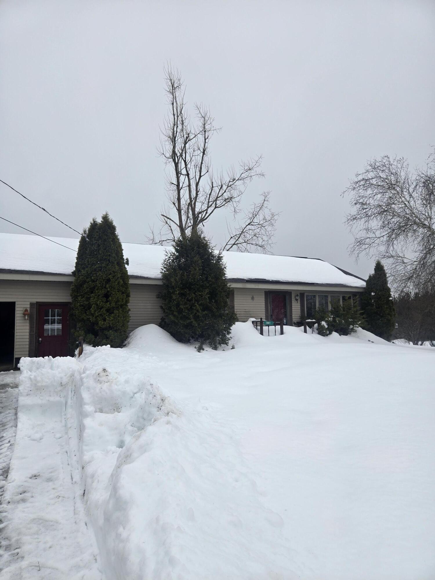 7887 Randolph Street