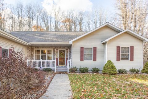 17190 Apollo Drive Colfax Township MI 49307