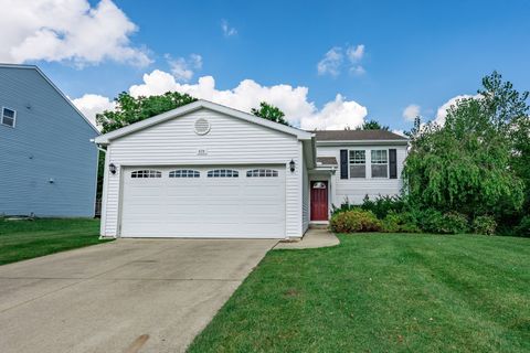823 Glenlivet Street Marion Township Livingston MI 48843