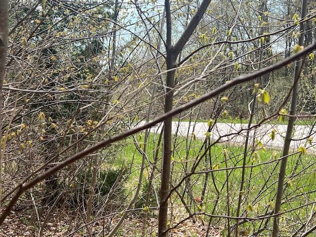 00 N Foxview Drive