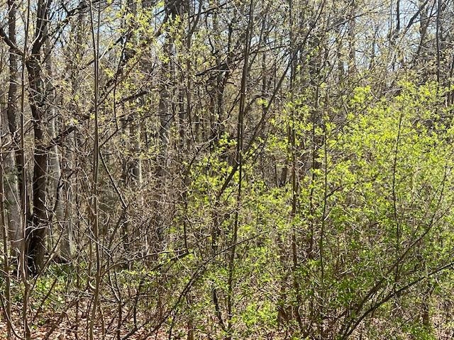 00 N Foxview Drive