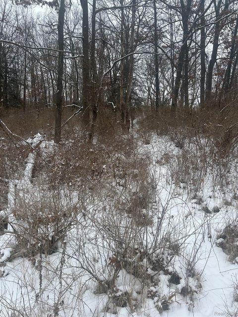 12840 LARKINS Road Brighton Township MI 48114