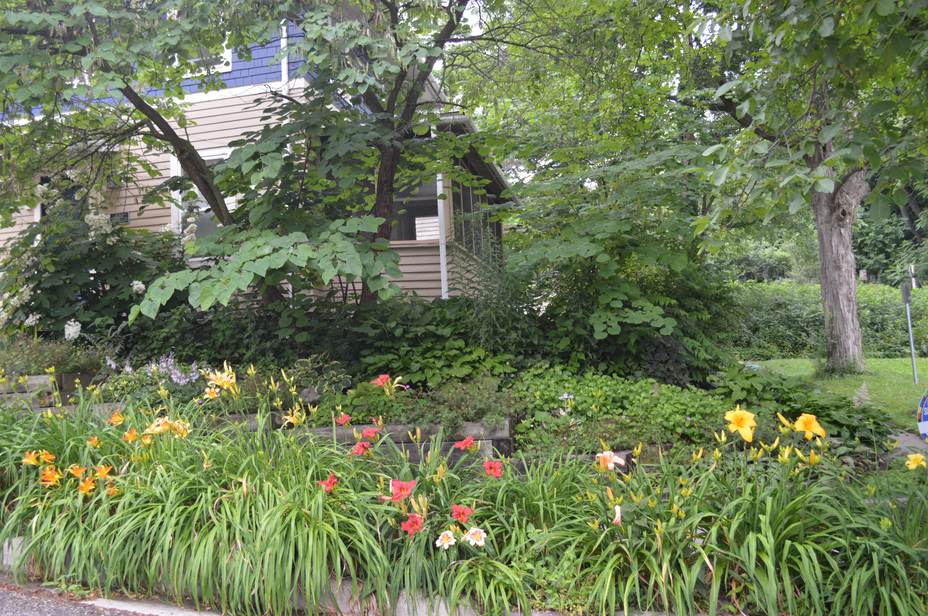 501 W Mosley Street