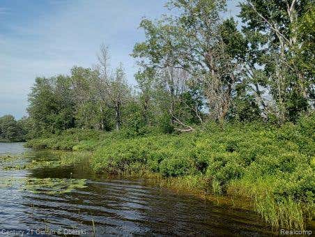 Photo for 0000 Tahquamenon River (shore)