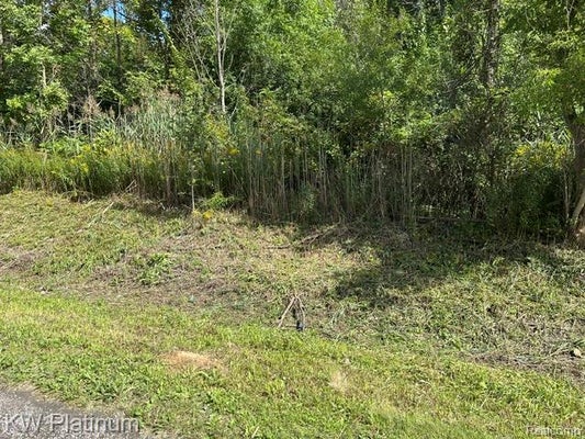 VIEW DR, CAMDEN, MI 49232 - Image 3eb073cd204ff11b5a2b2ff0ae507061/2164571455