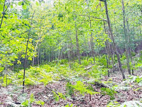 N Leaton Road Denver Township MI 48858