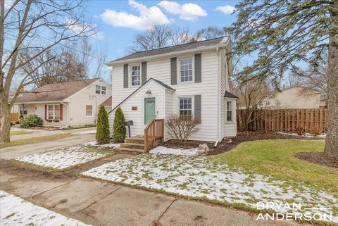 66 S Fremont Street NE Rockford City MI 49341