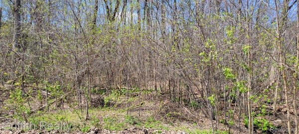 VALLEY VIEW DR, BRIGHTON, MI 48116 - Image 3ef4d7cc26fb8b8af8684e6cff808989/3934880036