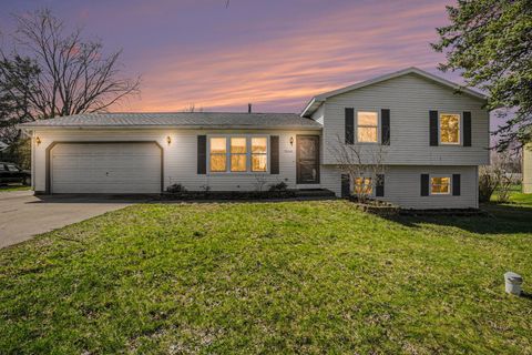 58446 Greenfield Court Fabius Township MI 49093