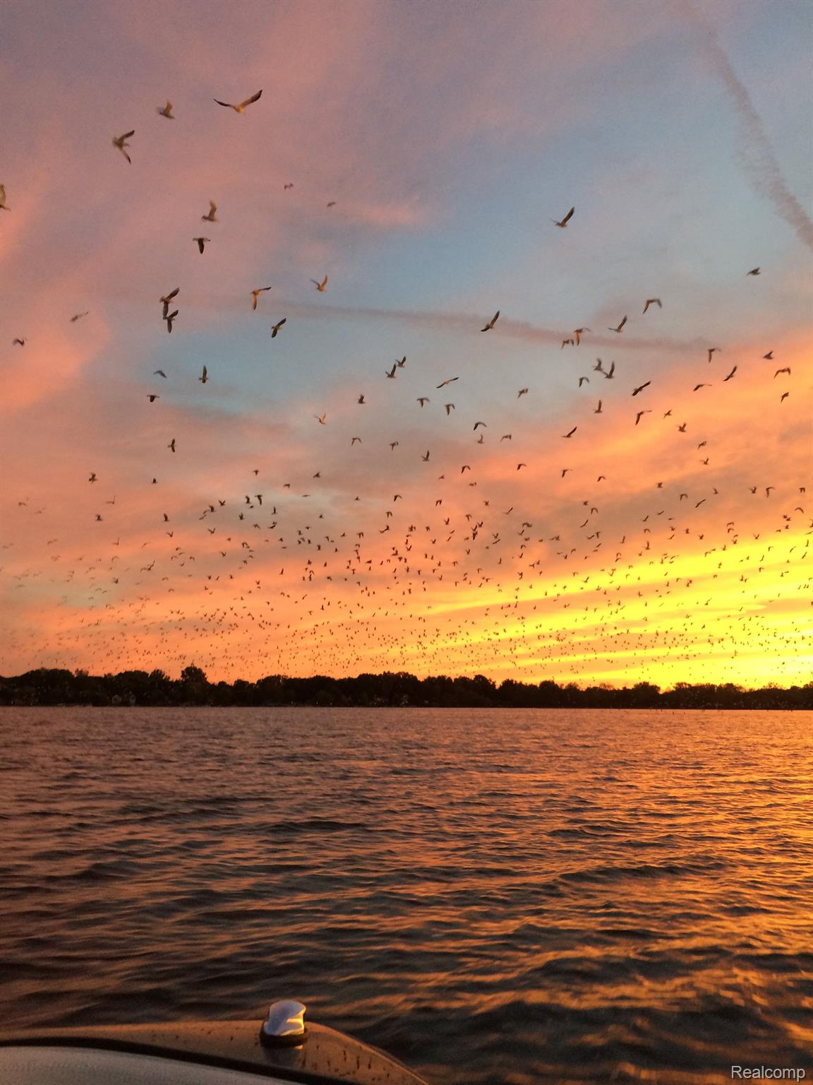 Walled Lake City, Michigan 48390, United States, 2 Bedrooms Bedrooms, ,1 BathroomBathrooms,Residential,Active,132475