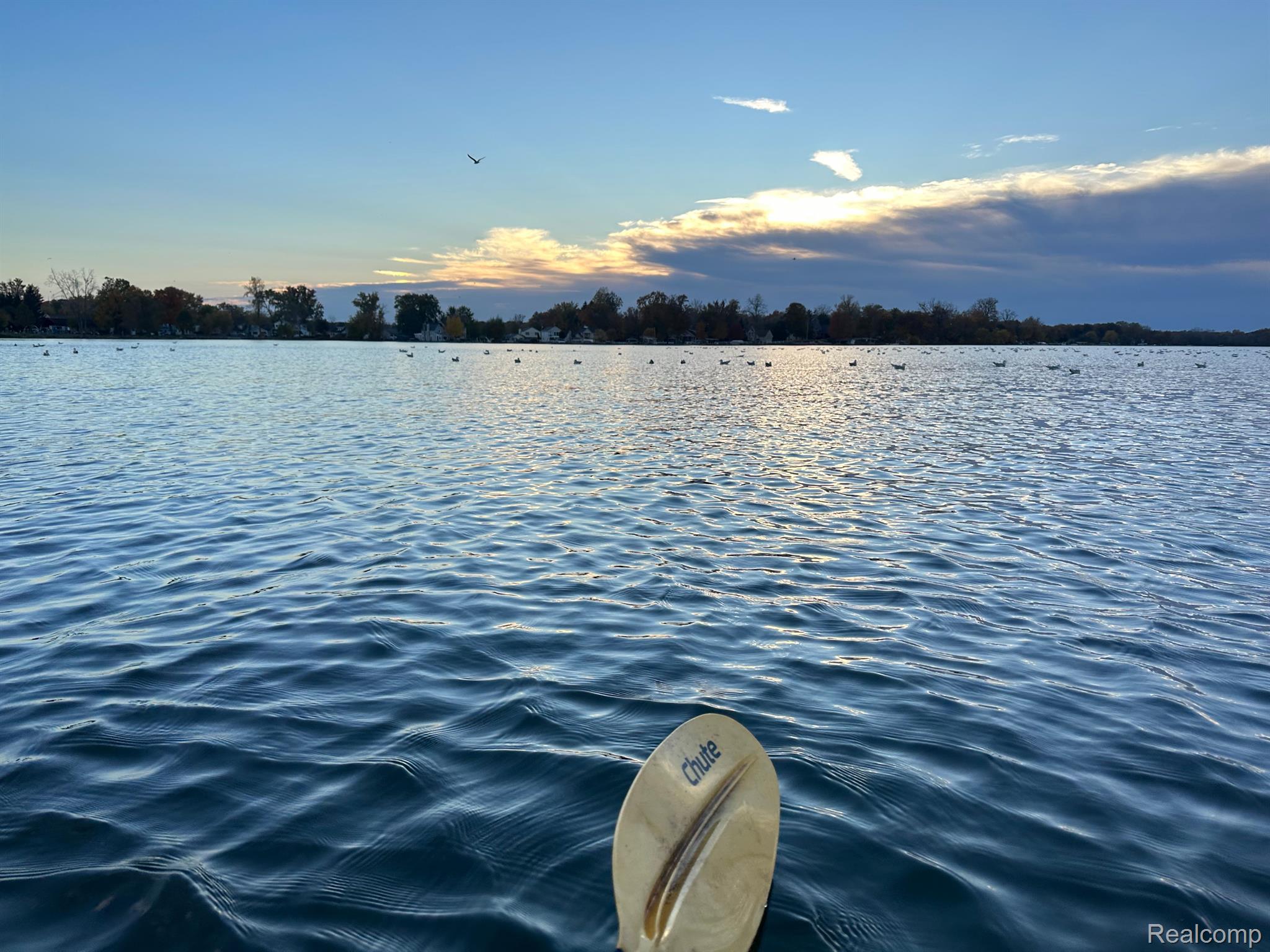 Walled Lake City, Michigan 48390, United States, 2 Bedrooms Bedrooms, ,1 BathroomBathrooms,Residential,Active,132475