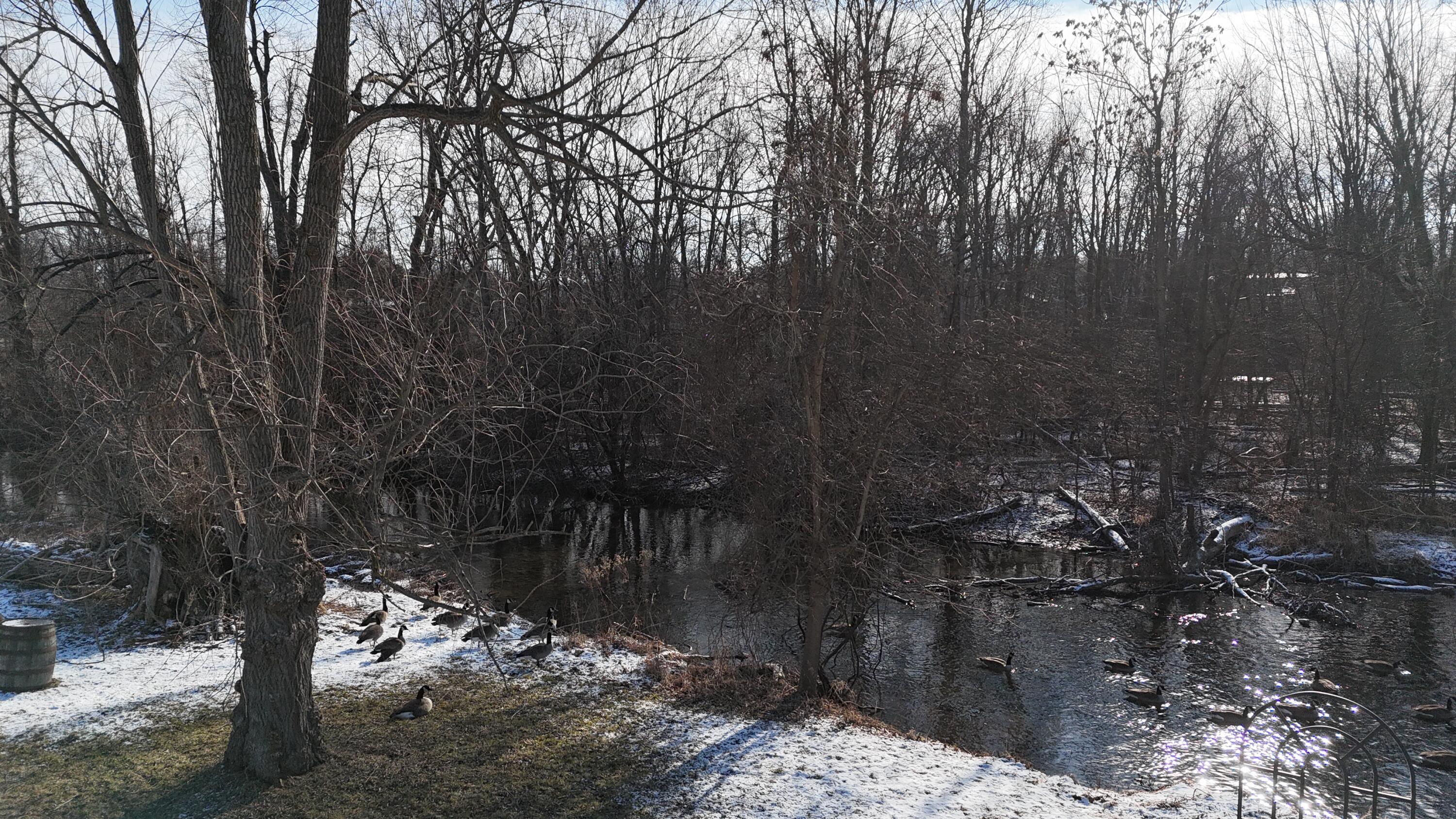 7525 Huron River Drive