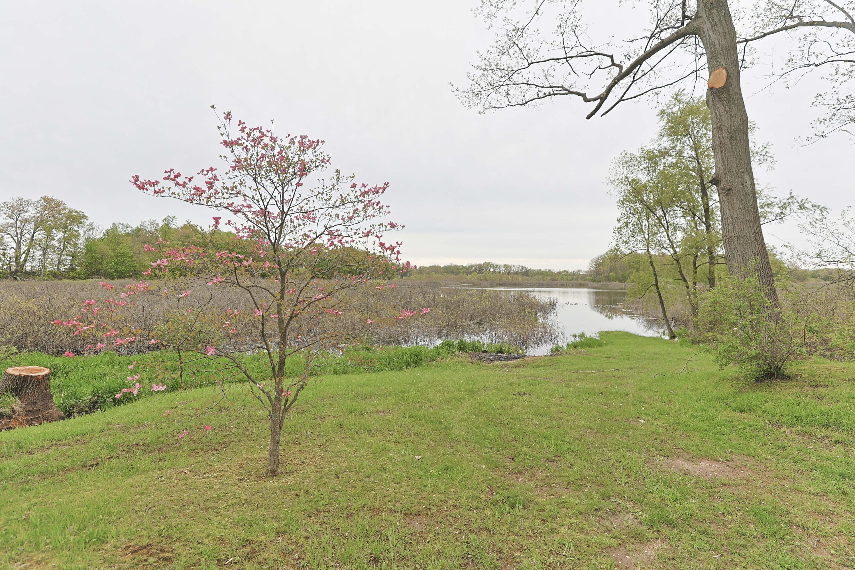 8497 Lake Road