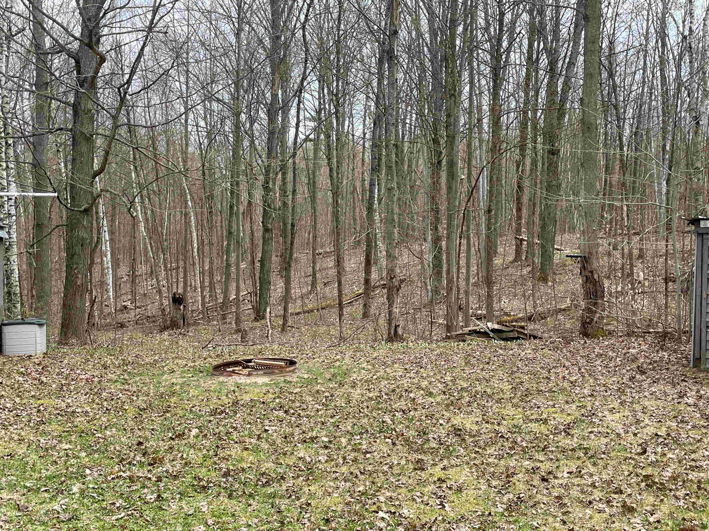 0000 ironwood