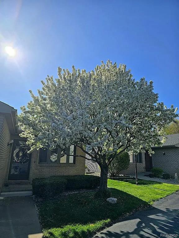 428 Morningside Drive