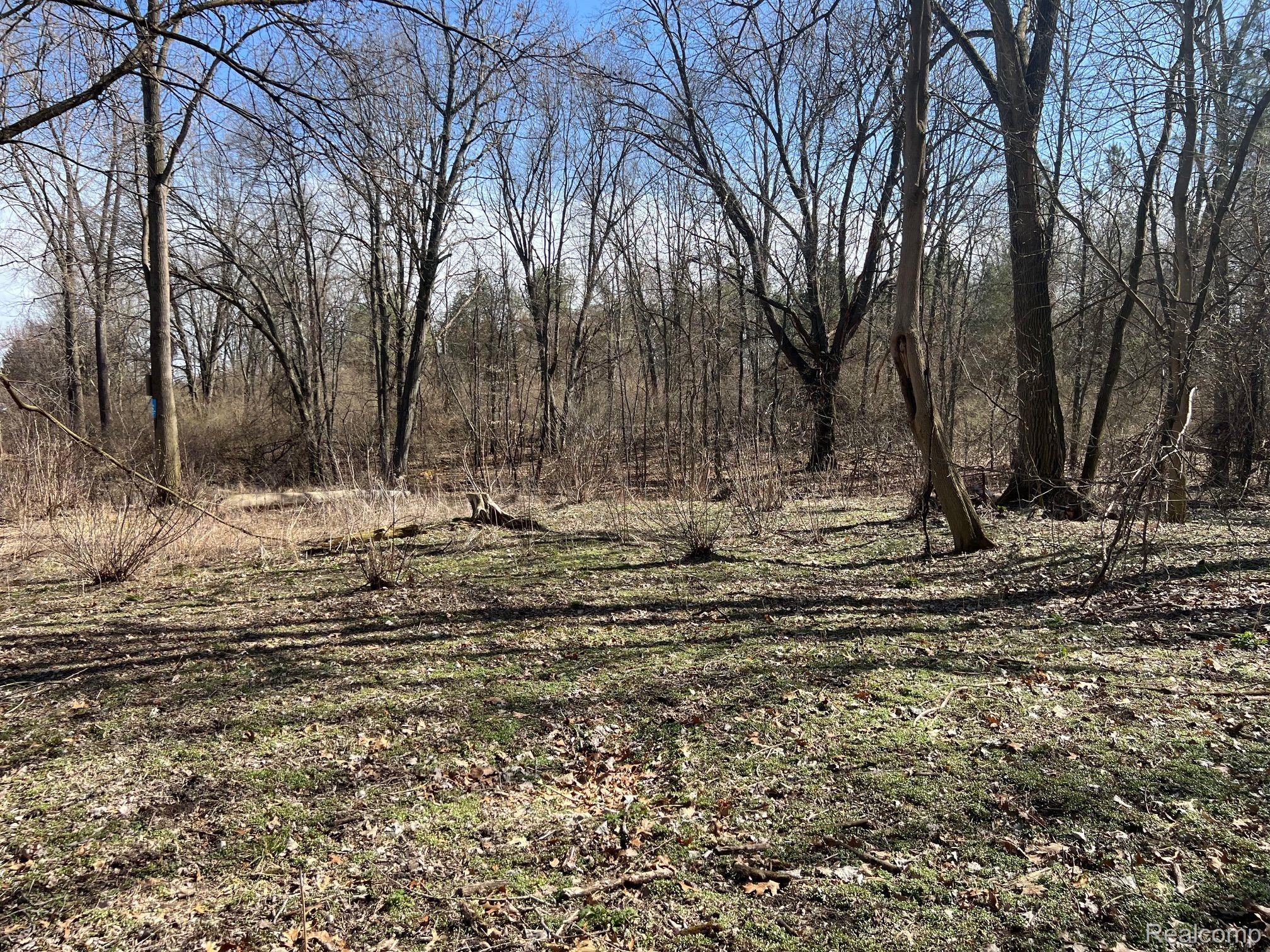 VL 1.98 Ac LAKE LAPEER Drive