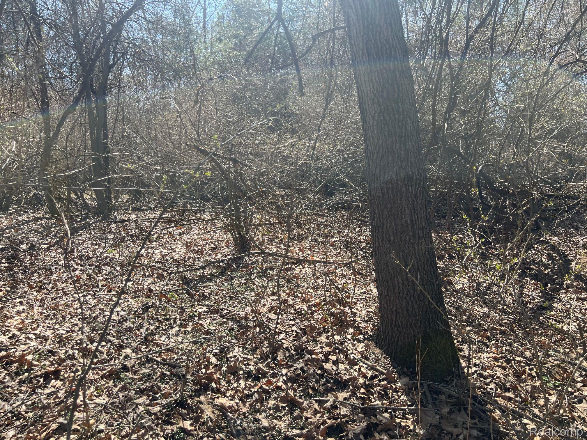 VL 1.98 Ac LAKE LAPEER Drive