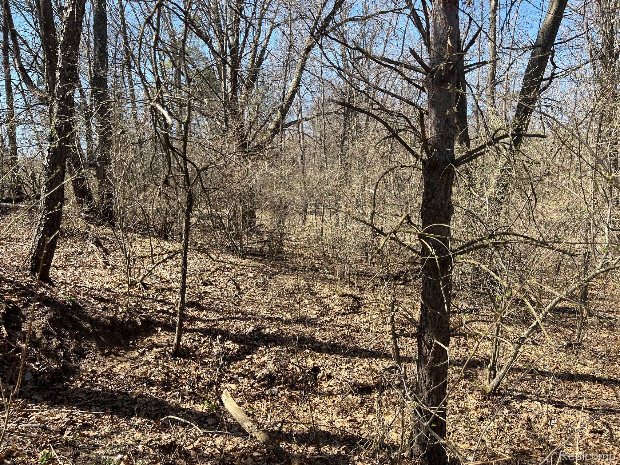 VL 1.98 Ac LAKE LAPEER Drive