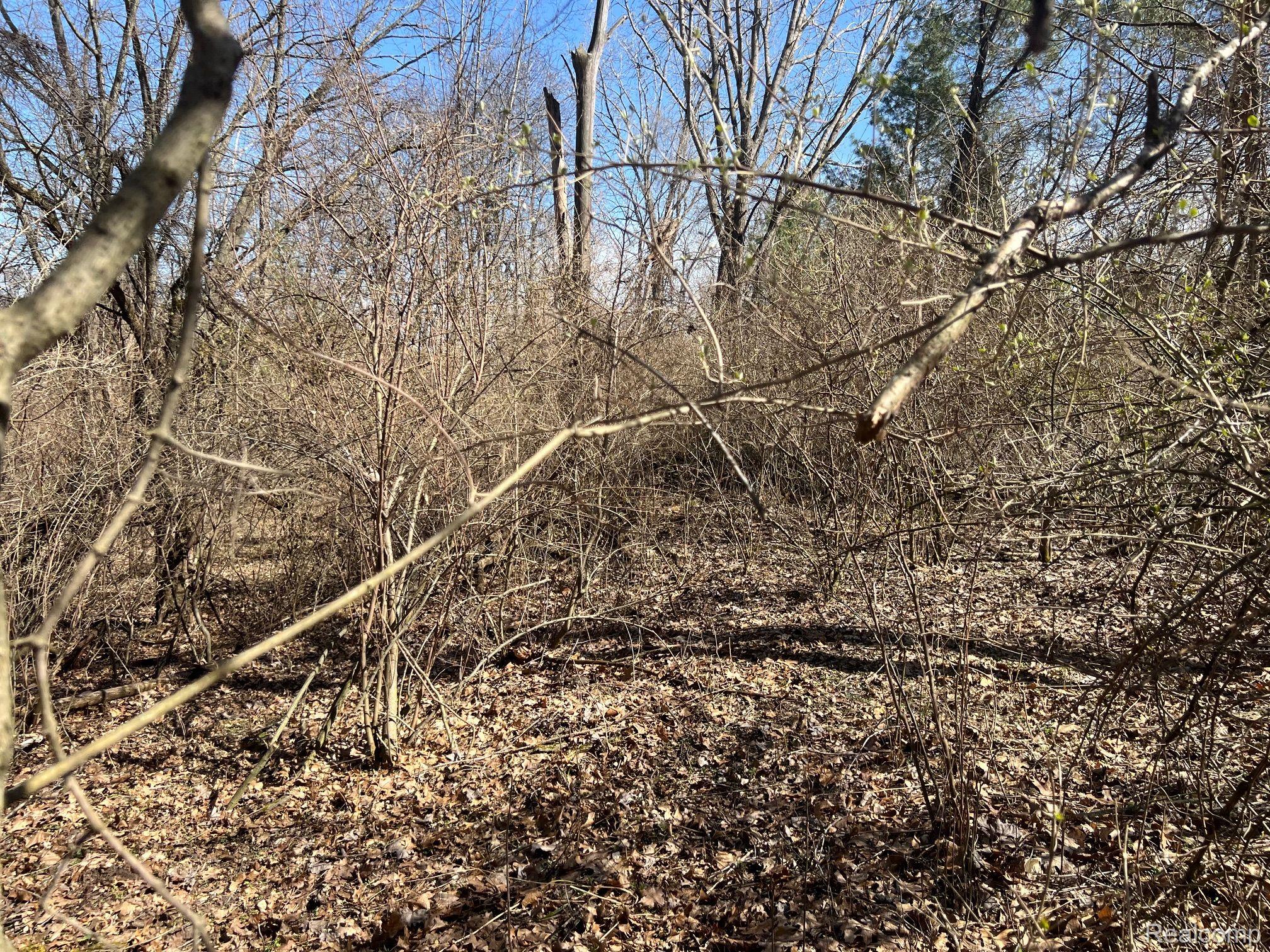 VL 1.98 Ac LAKE LAPEER Drive