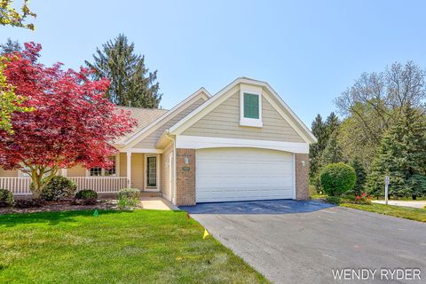 245 E Timberlake Drive Park Township MI 49424