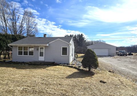 8020 Day Road Assyria Township MI 49021