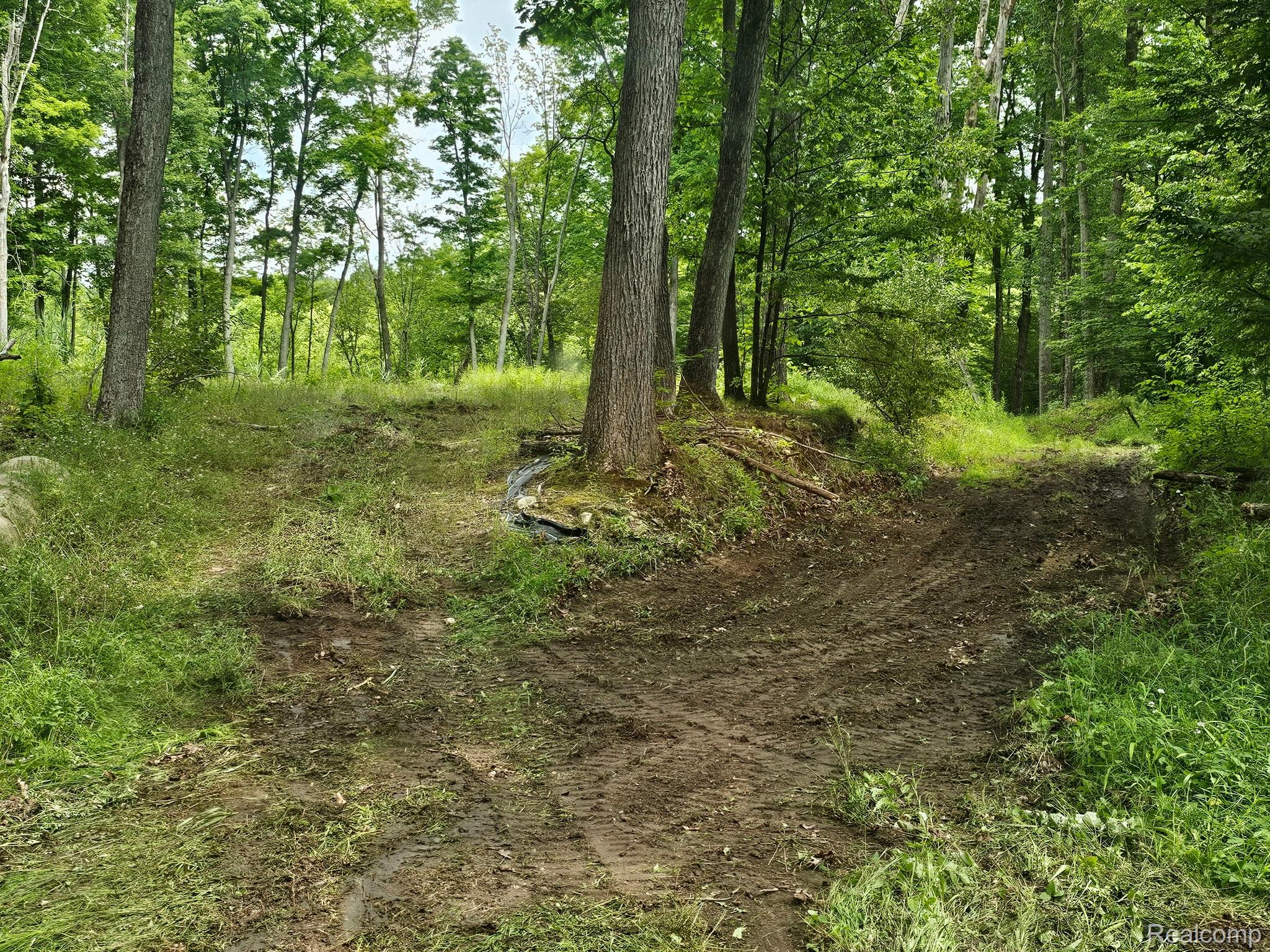 8600 Eagle Road