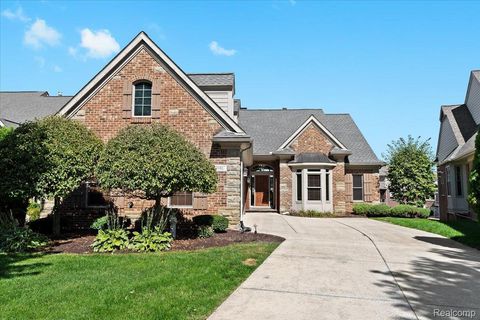 10817 Cliffview Drive Green Oak Township MI 48178