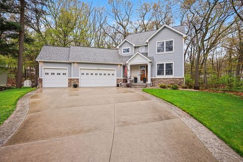 18099 Woodland Trail Spring Lake Township MI 49456