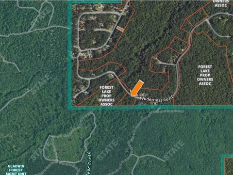 Wilderness Drive Moffatt Township MI 48610