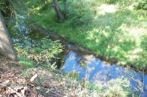 Tiny photo for 2890 Foco Road, Deep River Township, MI 48658 (MLS # 78080073010)