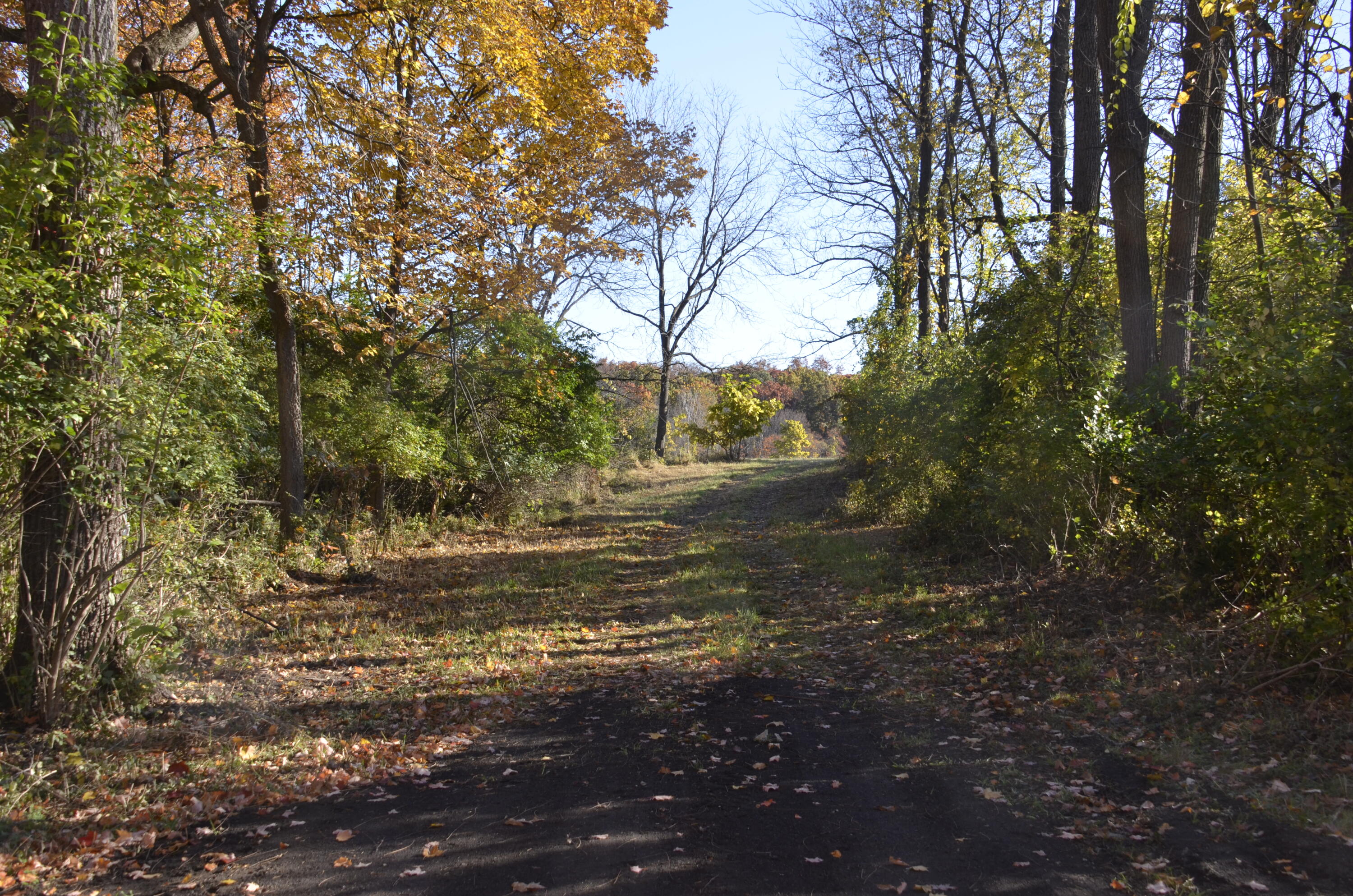 6255 Maple Dale Road