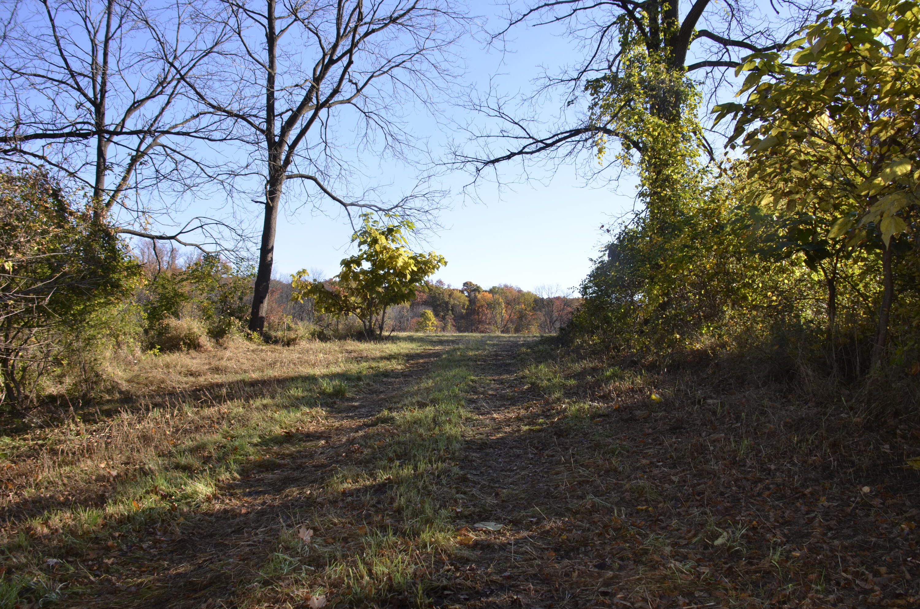 6255 Maple Dale Road