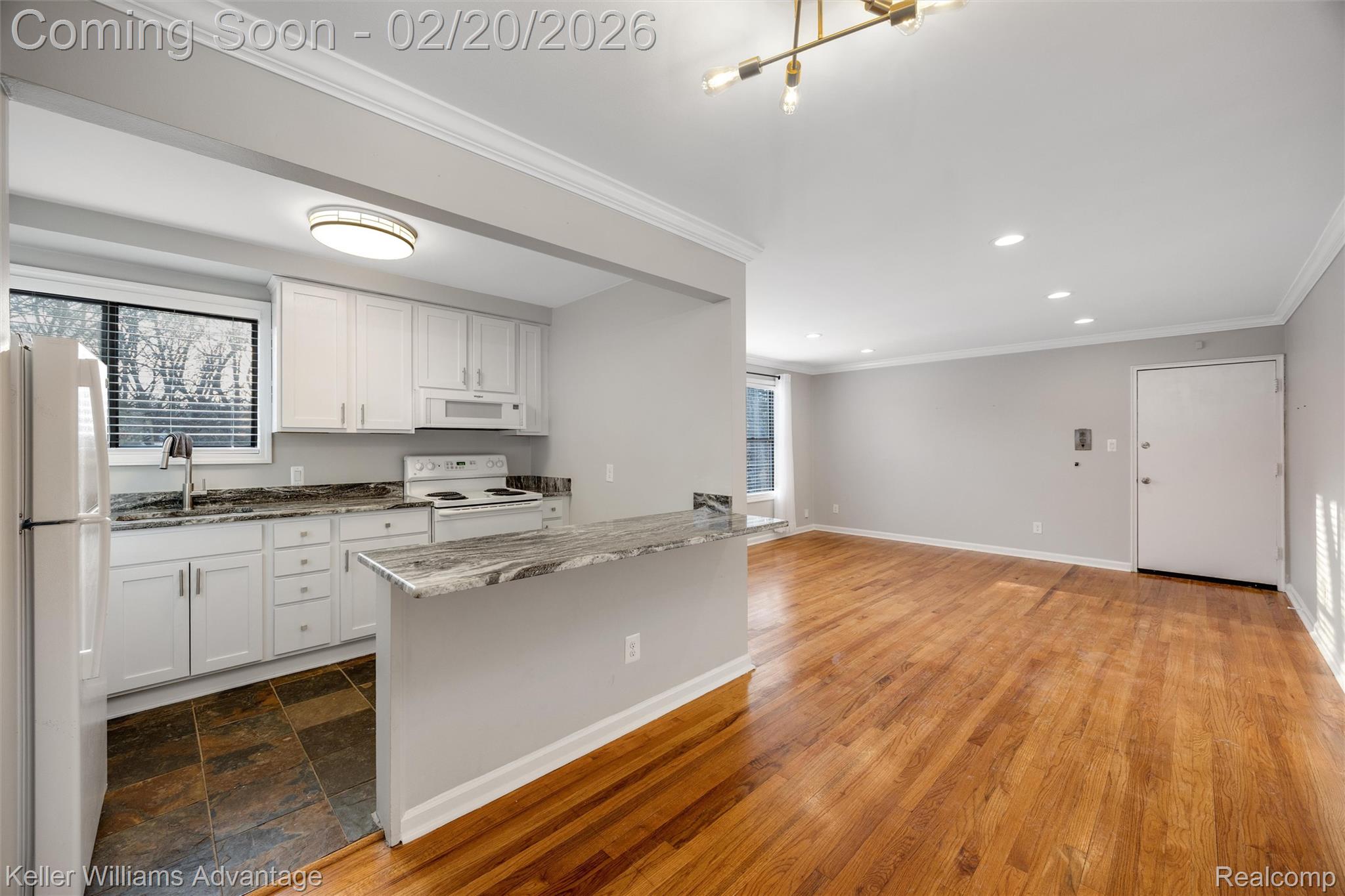 25749 Woodward Avenue 206